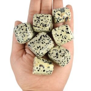 Dalmatian Jasper Tumble Stone