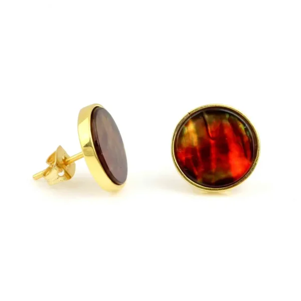 Embellished Ammolite Gemstone Jewellery 925 Sterling Silver Gold Plated Stud Earring For Women - Image 3