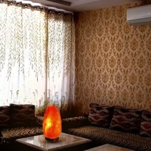 Himalayan Rock Salt Lamp Natural shape for Vastu, Positive Energy