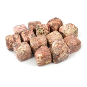 Leopard Skin Jasper Tumble Stone