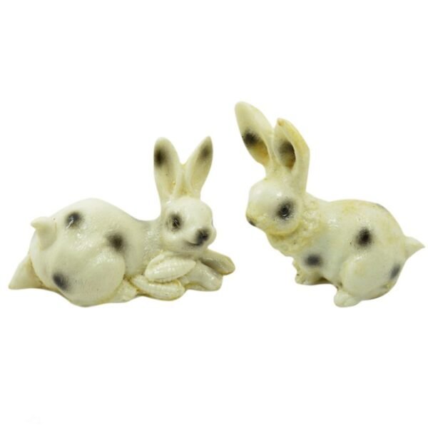 Rabbit Pair Polyrasin