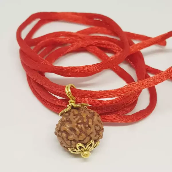 5 Mukhi Rudraksha – Indonesia