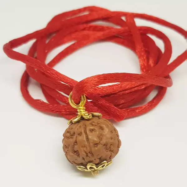 6 Mukhi Rudraksha – Indonesia