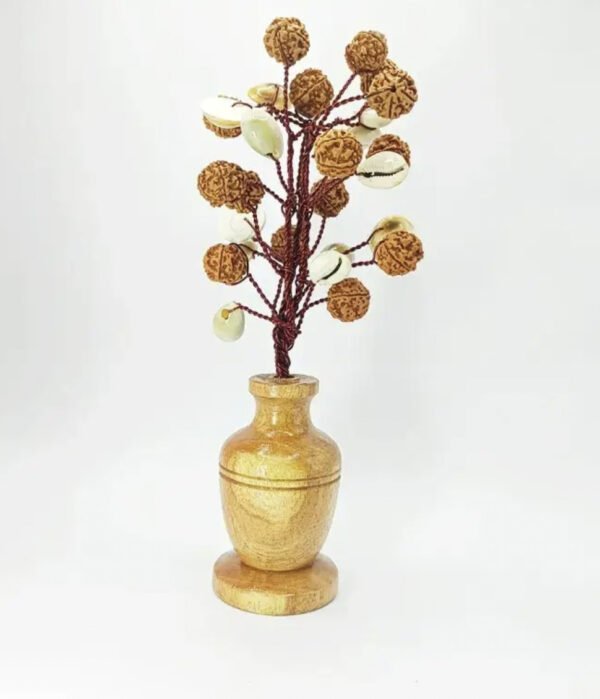 Charged Five Mukhi Rudraksha Tree with Kaudi and Gomti Chakra