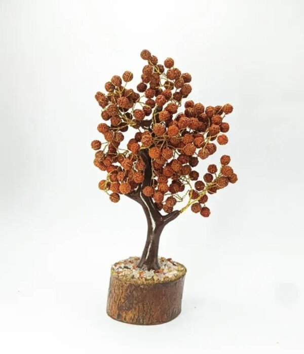 Charged Five Mukhi indonesian Rudraksha Tree