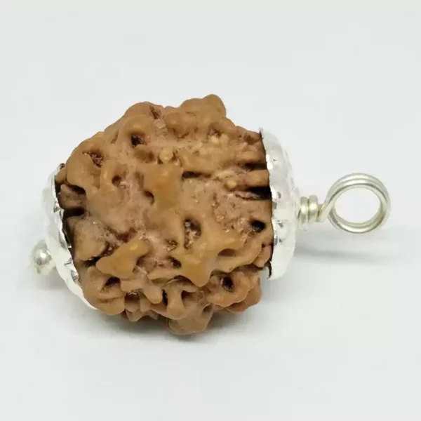 Nirakar Rudraksha – Nepal