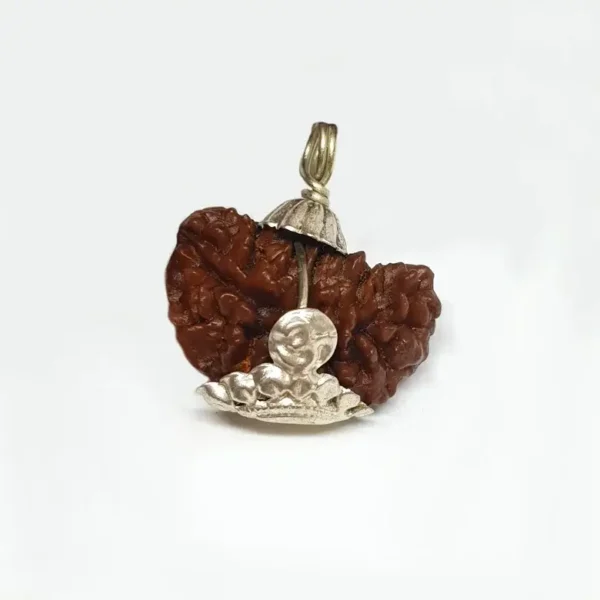 1 Faced Rudraksha – India