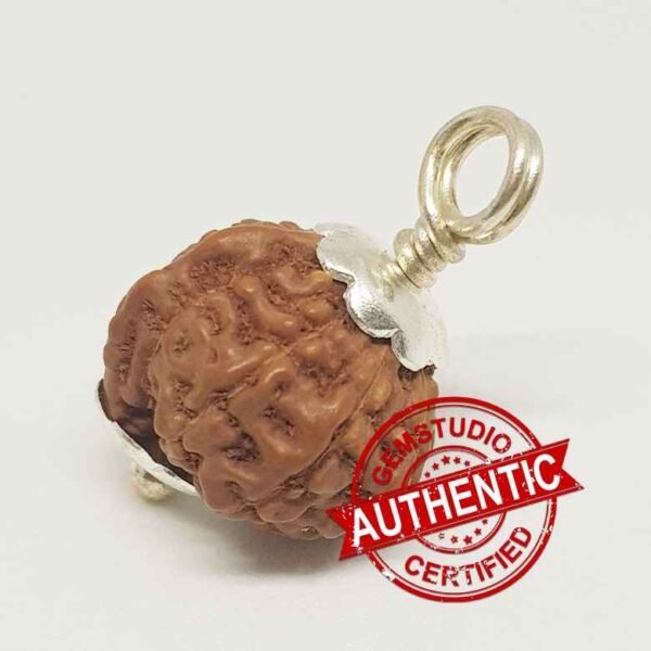 Ganesh Rudraksha – Indonesia