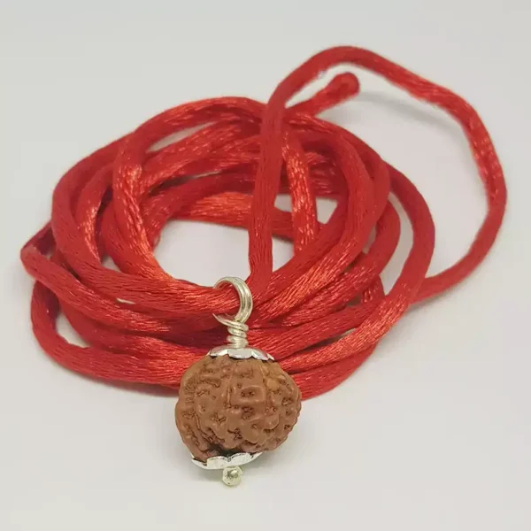 Ganesh Rudraksha – Indonesia - Image 2