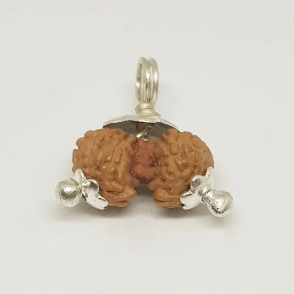 Gauri Shankar Rudraksha – Indonesia